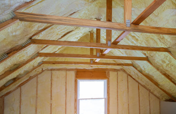 Best Attic Insulation Near Me  in Pender, NE