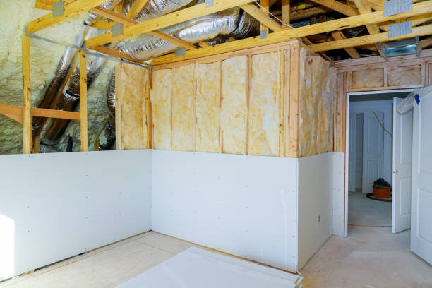 Best Attic Insulation Installation  in Pender, NE