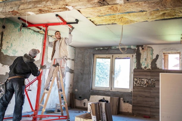 Best Blown-in Insulation  in Pender, NE