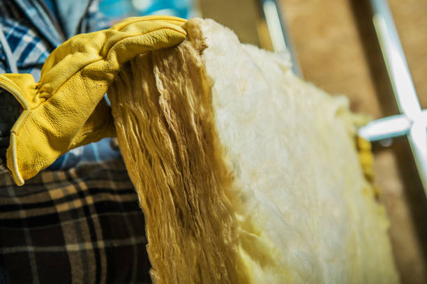 Best Energy-efficient Insulation  in Pender, NE
