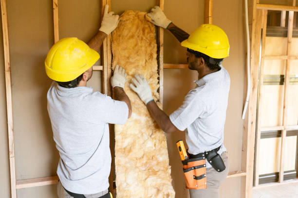 Best Spray Foam Insulation  in Pender, NE