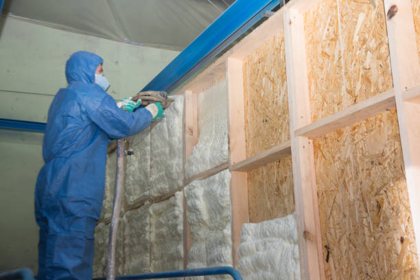 Insulation Contractors for Homes in Pender, NE